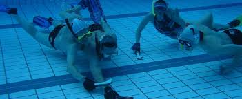 Image result for Isle of Man Octopush Club