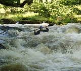 Image result for Pendle Paddlers Canoe Club