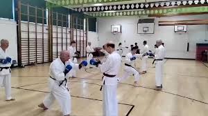 Image result for Haslemere Karate Club