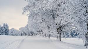 Image result for schnee