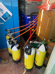 Image result for York University Sub Aqua Club