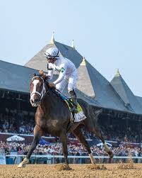 Image result for Patchett`s Green Riding Club