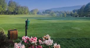 Image result for Kirkintilloch Bowling Club