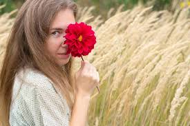 Image result for Dahlia `Red Skin`