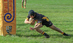 Image result for Ashton Bears Arlfc