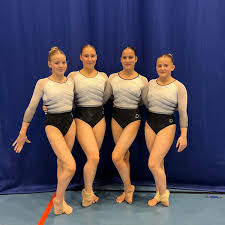 Image result for City Of Newcastle Gymnastics Academy