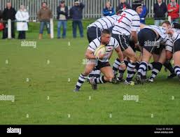 Image result for Preston Grasshoppers Rugby Football Club