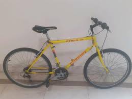 Image result for Louth Velo