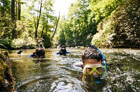 Image result for Wyndley NSC Snorkelling Club