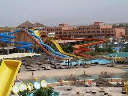 Image result for Tobogo