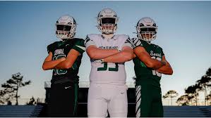 Image result for Walton Badminton Club