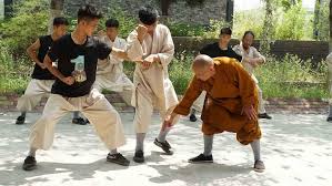 Image result for Shaolin Ancestors kung Fu School