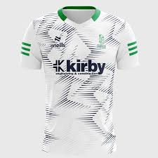 Image result for University Of Limerick Gaa Hurling Club
