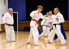 Image result for Hollesley Judo Club, Woodbridge, Suffolk
