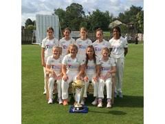Image result for Thriplow Cricket Club