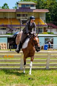 Image result for Thames Valley Riding Club