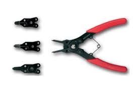 Image result for pheega