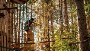 Image result for Go Ape! Leeds Castle