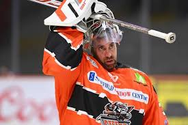 Image result for Sheffield Steelers