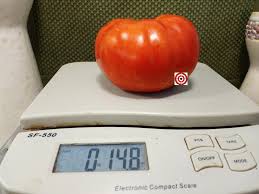 Afbeeldingsresultaat voor mortgage lifter bicolor strain tomato