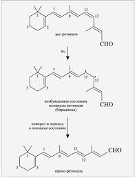 Картинки по запросу ...ЃРёРЅС‚РµР·Р°С‚РѕСЂ