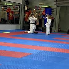Image result for America's Best Karate Chandler