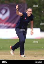 Image result for Ballinger Waggoners Cricket Club