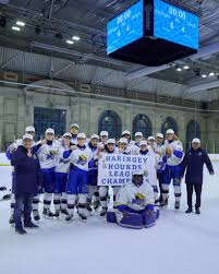 Image result for Haringey Junior Ice Hockey Club