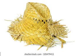 Image result for grass hat