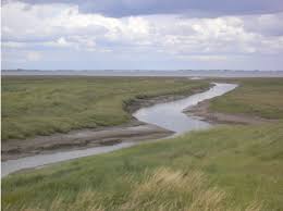 Image result for Holbeach and Fenland