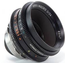 Attēlu rezultāti vaicājumam “Licea minima macro”