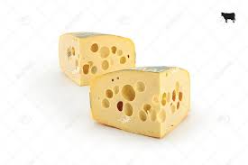 Image result for maasdammer