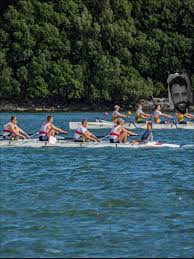 Image result for Southampton Amateur Rowing Club