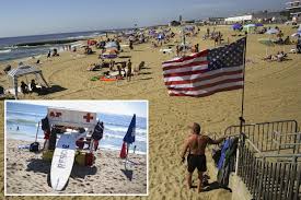 Image result for Dover Lifeguard Sc