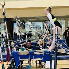 Image result for Avondale Pta Badminton Club