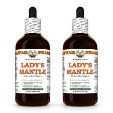 Attēlu rezultāti vaicājumam “Alchemilla vulgaris aggr.”