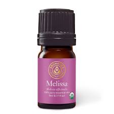 Attēlu rezultāti vaicājumam “Melissa officinalis”