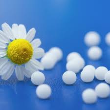 Attēlu rezultāti vaicājumam “Chara intermedia”