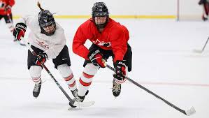 Image result for Pontypool Skater Hockey Club