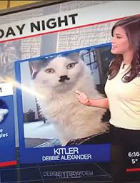 Image result for kitler