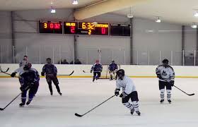 Image result for Streatham Night Wolves Ice Hockey Team