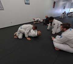 Image result for Mushin Kempo Jiu Jitsu Club