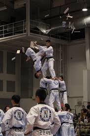 Image result for COMBAT TAEKWONDO