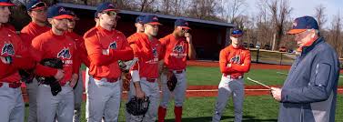 Image result for World Groundball Association