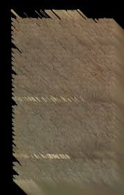 Attēlu rezultāti vaicājumam “Lycogala convexum sessile”