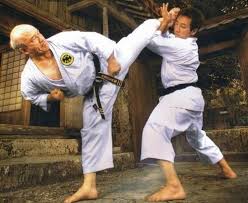 Image result for Kensei Karate Dojo