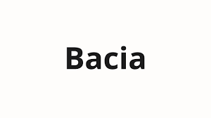 Image result for bacía