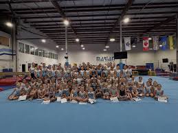 Image result for Fish trampoline and gymnastics club