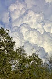 Image result for clouds