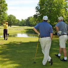 Image result for Greetham Valley Golf Club